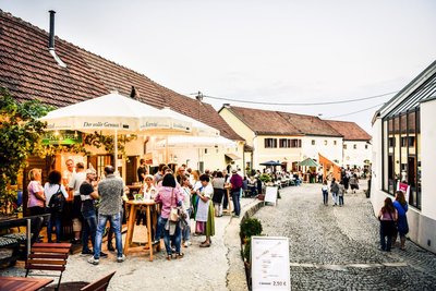 Kellergassenfest Rohrendorf